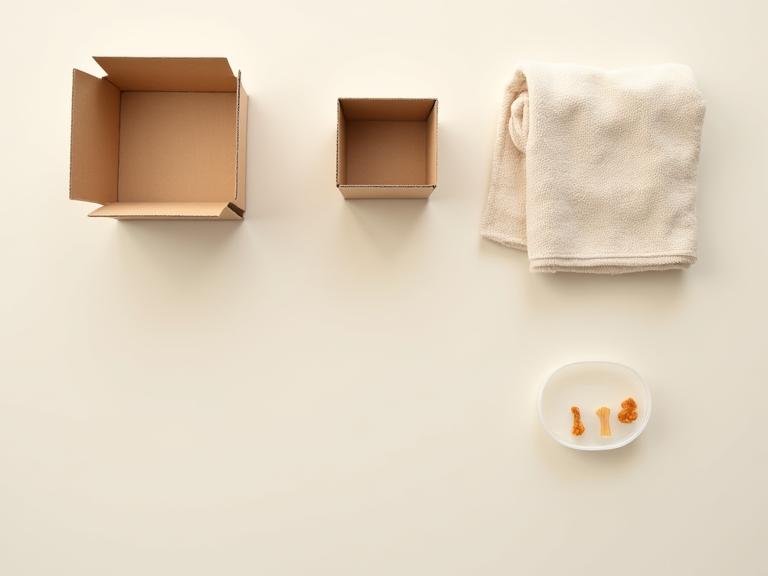 Various simple items used for beginner scent work, like cardboard boxes, towels, and small treat containers